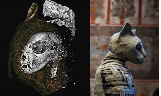 Su that soc xac uop thieng khong phai con nguoi trong mo co Ai Cap