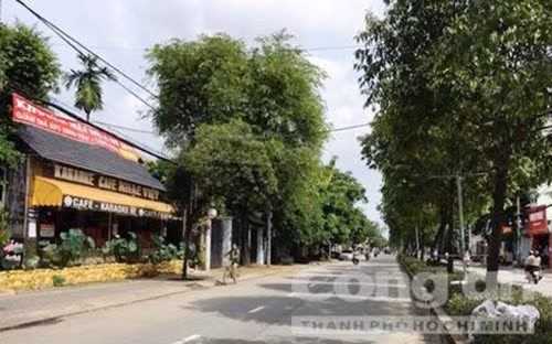 Manh moi quy gia tu chiec banh kem trong vu giet nguoi bi an