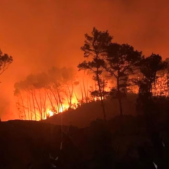 Dien bien moi nhat vu chay rung o Nghe An