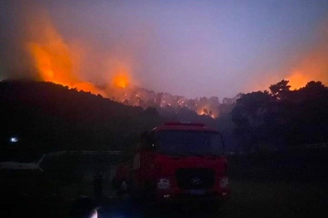 Nang nong gay gat, nhieu noi lien tiep xay ra cac vu chay rung-Hinh-3
