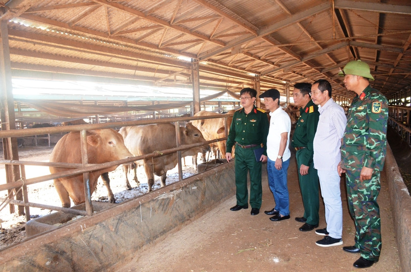 Hoi Nha bao tinh Gia Lai tham cac don vi truc thuoc Binh doan 15-Hinh-4