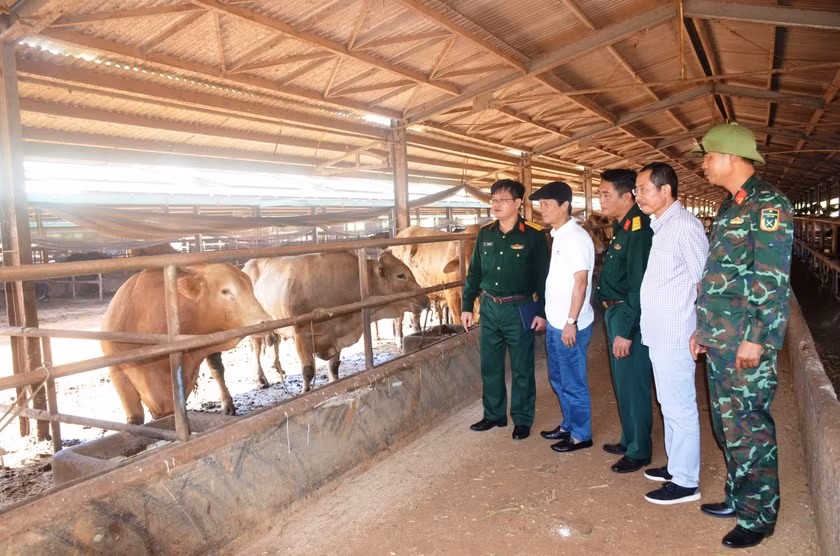 Hoi Nha bao tinh Gia Lai tham cac don vi truc thuoc Binh doan 15-Hinh-4