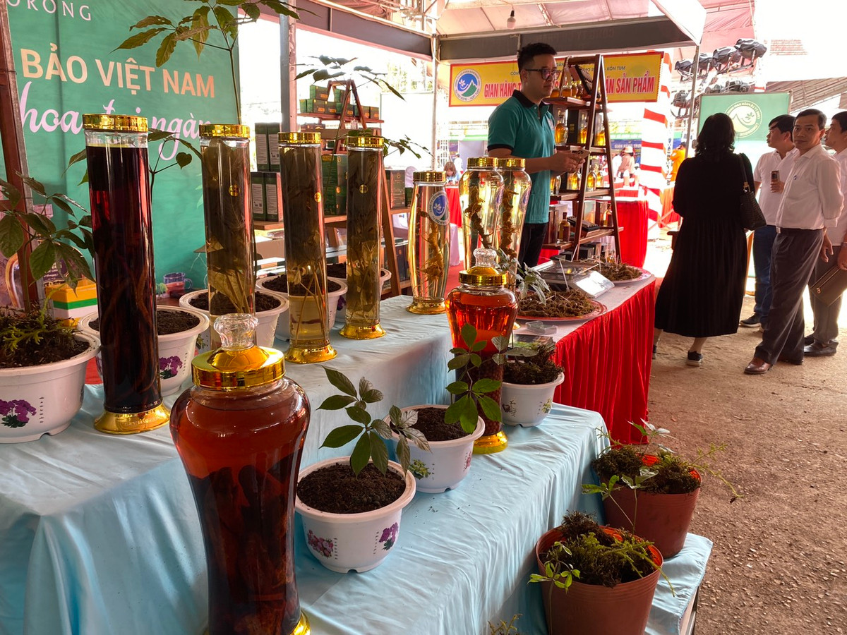 Sam Ngoc Linh, con nguoi, van hoa... la tiem nang du lich-Hinh-2