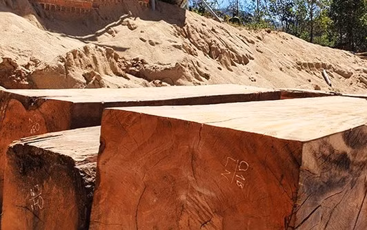 Kon Tum: Phat hien luong lon go lau chon giau duoi cat-Hinh-2