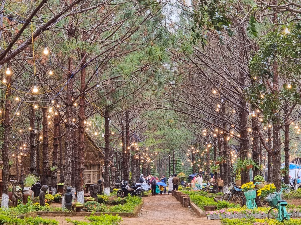 Kon Tum: Mang Den “ket cung” ngay mung 4 Tet du thoi tiet mua lanh-Hinh-8