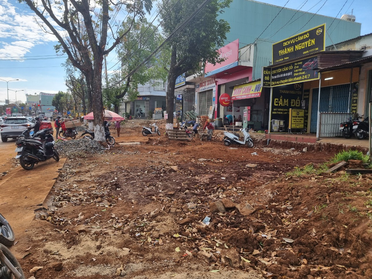 Chặt rễ cây khi thi công vỉa hè ở TP Pleiku: Xử lý thế nào? - Hình 2 Chat re cay khi thi cong via he o TP Pleiku: Xu ly the nao?-Hinh-2