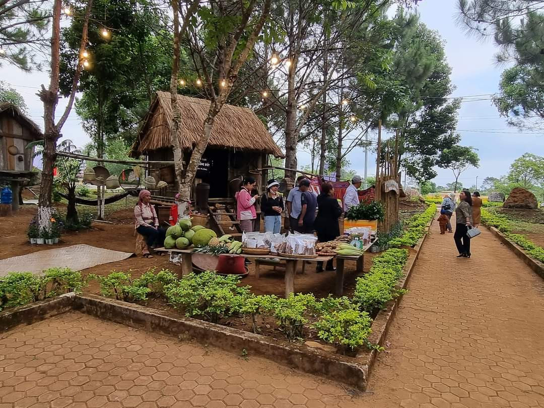 Các hoạt động nổi bật được tổ chức trong dịp này như: Trưng bày không gian Văn hóa các dân tộc bản địa với những điểm nhấn là nhà rông, cồng chiêng, kho lúa, hoạt động dệt vải, đan lát, chế tác tượng gỗ… Không gian ẩm thực mang hương vị độc đáo riêng của Măng Đen với cơm lam, gà nướng, cá suối, rau rừng… 