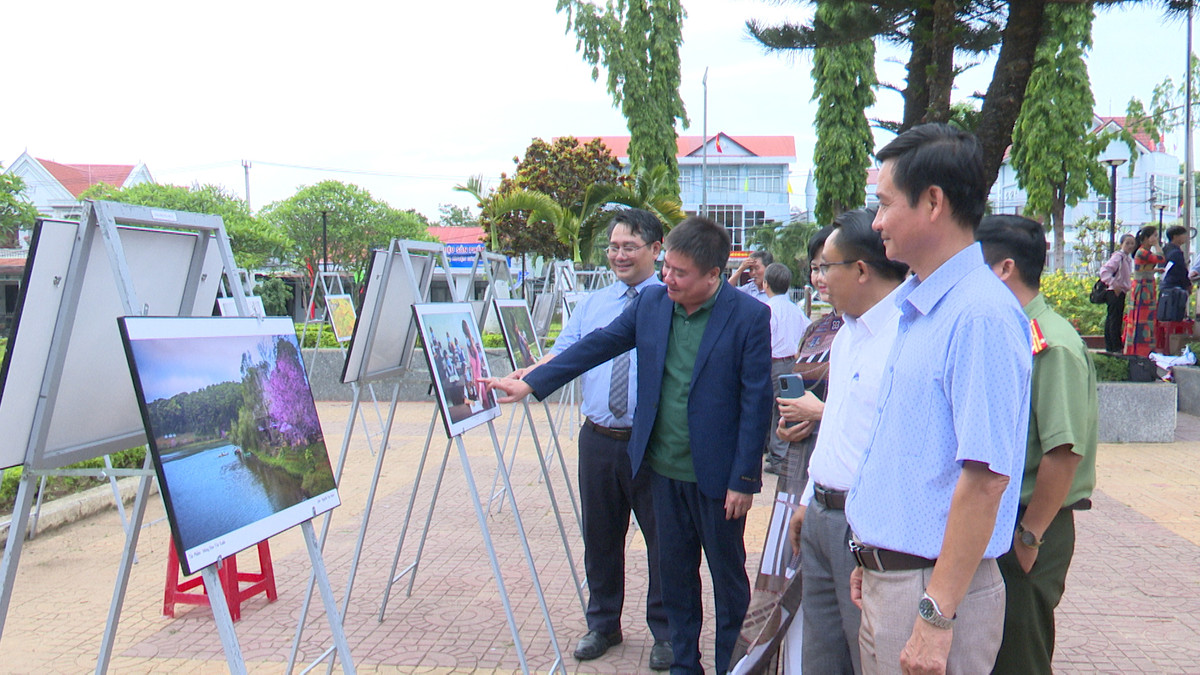 Tang T59 so hieu 377 duoc Cong bo Bao vat Quoc gia-Hinh-2