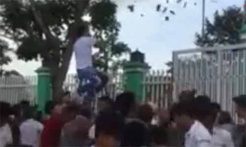 Trong hai ngày 28 và 29/8/2015 (tức 15 và 16/7 âm lịch), một đại gia Trà Vinh đã gây náo loạn cả khu xóm bởi hành động rải tiền như mưa khiến người dân tranh nhau nhặt tiền. Rải hết cọc tiền này, đại gia lấy thêm cọc tiền khác ra rải tiếp. Đây không phải là lần đầu đại gia Việt có thú chơi ngông khác thường như vậy.