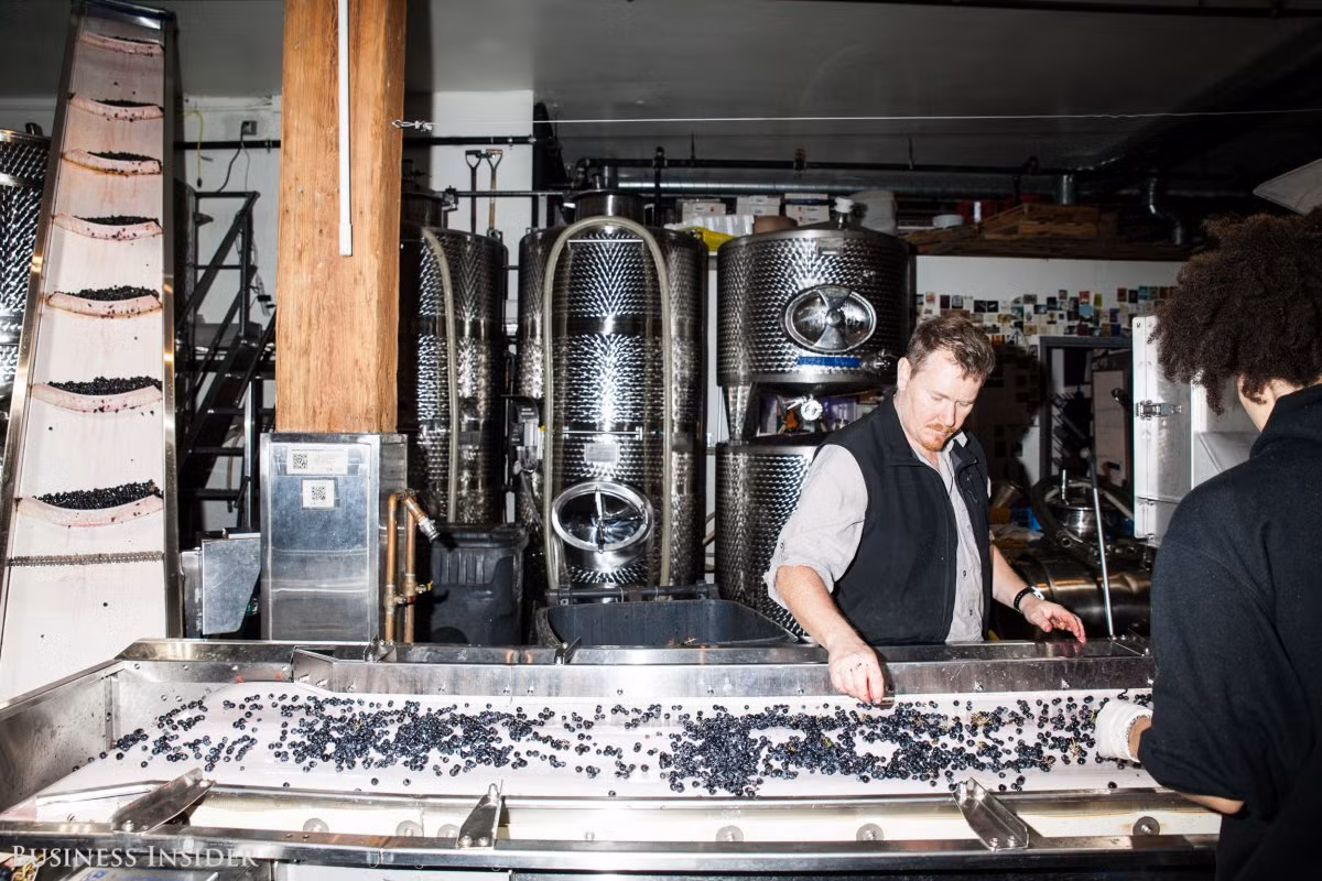 City Winery có các trụ sở sản xuất rượu vang ở cả New York và Chicago. David Lecomte (ảnh) là người quản lý giám sát và kiểm tra các lô hàng nho cho nhà máy City Winery ở New York.