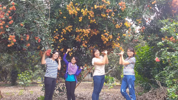 Vườn trái cây Long Khánh – Đồng Nai: Long Khánh là vựa trái cây của tỉnh Đồng Nai, nhất là vào mùa hè. Chỉ cần đến đây, bạn sẽ tha hồ lạc mình vào những vườn chôm chôm xanh đỏ bắt mắt hay dạo chơi nhưng ăn thiệt giữa những khi vườn măng cụt, sầu riêng trĩu quả. Bạn có thể dừng lại ở bất cứ nhà vườn nào ở đây để hỏi mua và tham quan nhé. Ảnh: Internet.