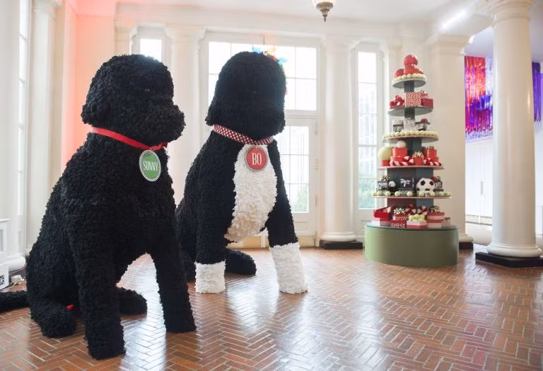 Mô hình 2 chú cún cưng của gia đình ông Obama là Bo và Sunny được làm từ 25.000 quả bông sợi len, đặt ở Cánh Đông