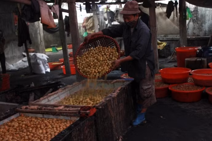 Để sản xuất ra mứt táo, nguyên liệu đầu vào cần được tuyển chọn thật kỹ càng. Loại táo thường dùng là loại táo lê, quả chín đều, tươi ngon. Sau khi đục hạt và châm vỏ táo, người làm táo sẽ cho táo vào rửa sạch và luộc qua ở nhiệt độ 70 độ C. Sau khi vớt ra, để ráo, táo sẽ được ngâm với đường khoảng 24h rồi mới cho vào nồi nấu với nước đường khoảng 15 phút rồi lại vớt ra, để nguội. Ảnh: Báo Giao Thông.