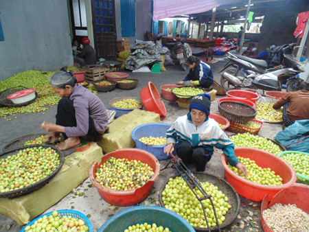 Hàng năm, cứ vào đầu tháng 11 âm lịch, không khí làng Vị, Hưng Yên lại tấp nập hơn hẳn, khắp nơi trong làng đều nhộn nhịp người bán, kẻ mua các loại mứt táo, mứt gừng phục vụ Tết cổ truyền. Ảnh: Báo Hưng Yên.