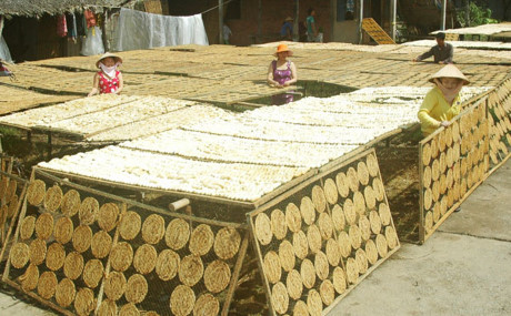 Làng nghề chuối khô ở Cà Mau: Bắt đầu từ đầu tháng 1, người dân làng nghề chuối khô ở Cà Mau bắt tay vào việc. Những ngày giáp tết, cường độ làm việc của làng nghề càng cao hơn. Làng nghề chuối khô của Cà Mau tập trung ở các xã Trần Hợi, Khánh Hưng (H.Trần Văn Thời). Ảnh: Dân Việt.