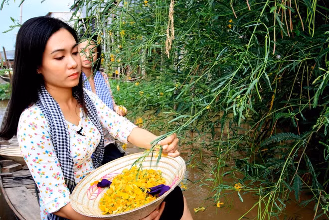 Bông điên điển - đặc sản mùa lũ ở miền Tây năm nay trở nên ít ỏi và giá khá cao, tại các chợ 40.000-50.000 đồng một kg.