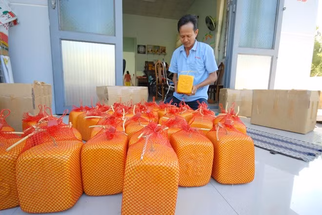 Với sức sáng tạo của một lão nông có hơn 20 năm trồng dưa hấu chuyên bán để ăn, ông Liêm tiếp tục “nặn” ra những trái dưa có hình ảnh không đụng hàng, như: dưa hấu hình thỏi vàng, hình xe hơi, hình trái tim có bản đồ Việt Nam. Cũng chính từ những quả dưa hấu có hình dáng độc đáo này, mỗi năm ông có nguồn thu nhập ổn định trên dưới 500 triệu đồng. Ảnh: Zing.