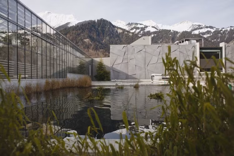 Trang trại có tên Tropenhaus do ông Peter Hufschmeid vận hành là công ty chuyên sử dụng địa nhiệt từ đường hầm để sản xuất các loại trái cây độc đáo, thịt và trứng cá tầm muối. Công ty này đã làm ra món trứng cá tầm muối bán với giá trung bình từ 2.000-2.500 USD/kg (hơn 40-50 triệu đồng).