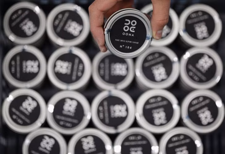 Trứng cá tầm muối Oona có 4 loại. Loại cao cấp nhất có chất lượng cao nhất với những quả trứng có kích thước tối thiểu khoảng 2,6 mm và được chọn lựa bằng tay. Một hộp nhỏ 30gram có giá 232 USD (khoảng 5 triệu đồng).