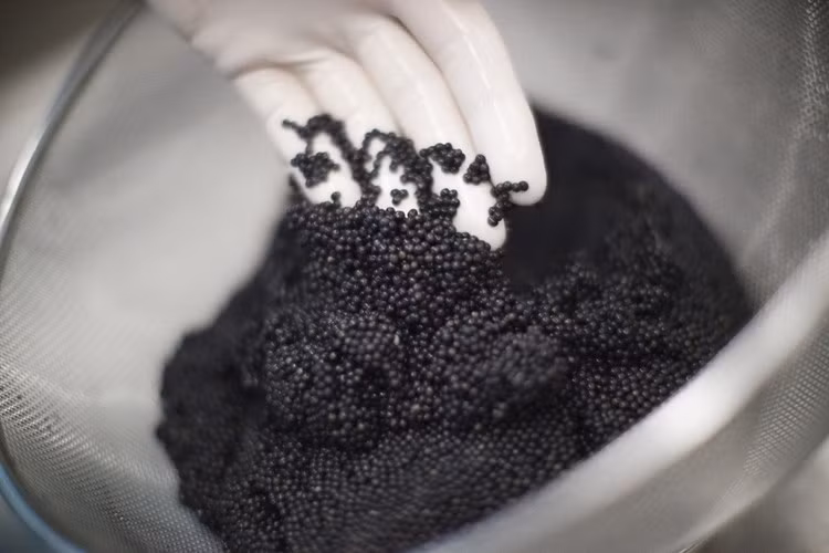 Trang trại nuôi tới 60.000 con cá, cho sản lượng 3 tấn trứng cá tầm muối chất lượng cao và 18 tấn cá thịt mỗi năm. Cá tầm được nuôi trong những bể lớn được lọc thường xuyên. Người ta dùng lưới lớn để bắt cá sau khi biết chắc rằng cá đã đủ tuổi cho trứng nhờ công nghệ siêu âm. Toàn bộ chu trình lấy trứng cá tầm đều được thực hiện hoàn toàn bằng tay.