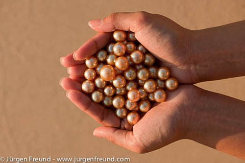 Tùy vào giống trai và độ mặn nước biển, ngọc trai cho nhiều màu sắc khác nhau như trắng, bạc, đen, vàng. Một viên ngọc hoàn hảo phải đạt được tiêu chuẩn về độ bóng, màu sắc, kích thước. Viên ngọc càng to, càng tròn, càng bóng thì giá trị càng cao. Nguồn ảnh: Internet.