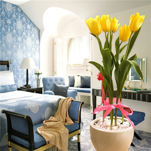 Thời gian thích hợp nhất để trồng hoa Tulip là vào thời điểm cuối năm, còn riêng với những vùng khí hậu quanh năm mát mẻ thì có thể trồng cây vào bất kỳ lúc nào.