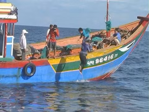 Theo nghề lặn kiếm tiền rất nhanh nhưng đó là tiền từ xương máu và sự đánh cược mạng sống. Biết rằng hiểm nguy luôn rình rập nhưng ngư dân vẫn bám nghề biển mưu sinh. Để rồi người thân ở đất liền luôn cầu mong trời yên biển lặng để chồng, con ngoài khơi xa gặp nhiều may mắn, bình an trở về nhà. Ảnh: ANTĐ.