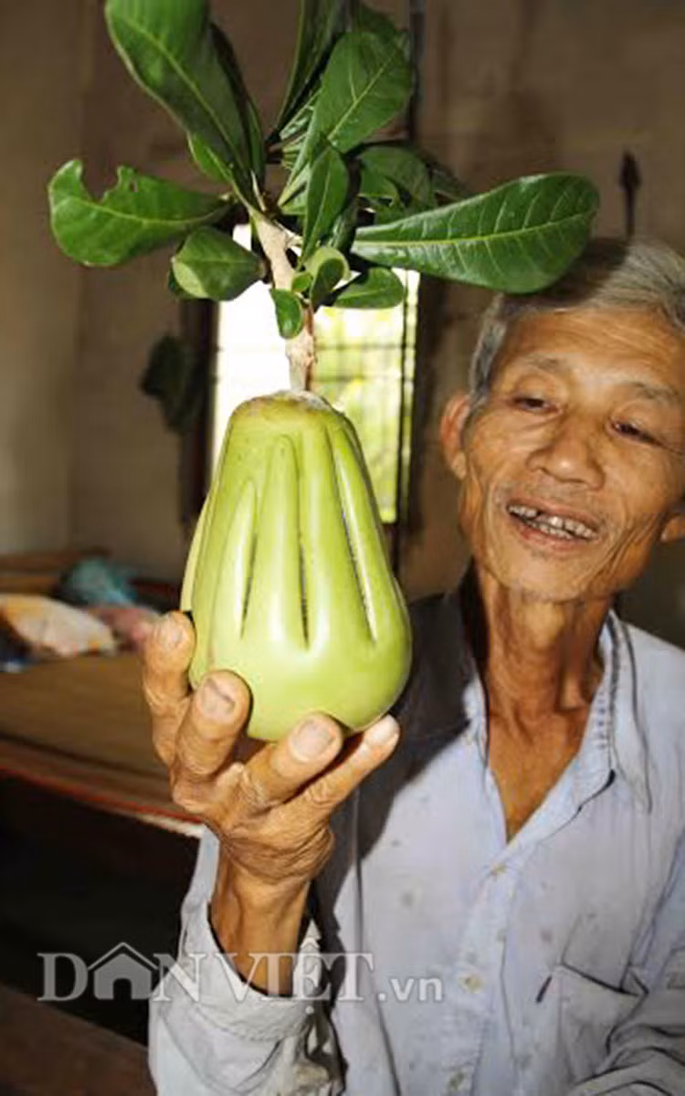 Sản phẩm đào tiên “Bàn tay Phật” của ông Võ Hồng Quốc (ấp Phú Trí A, xã Phú Tân, huyện Châu Thành, tỉnh Hậu Giang). Ảnh: Dân Việt.