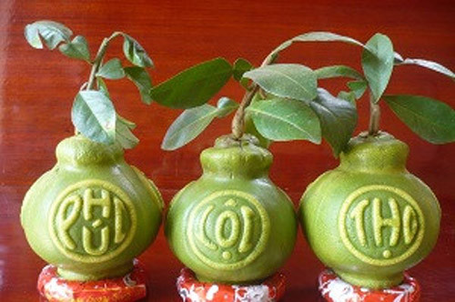 Trên thị trường những năm gần đây xuất hiện rất nhiều loại trái cây tạo hình độc lạ trưng Tết như: Bưởi hồ lô, bưởi lệ cát tường (hình bàn tay), dưa hấu vuông, dưa hấu thỏi vàng…Ảnh: Chinhphu.