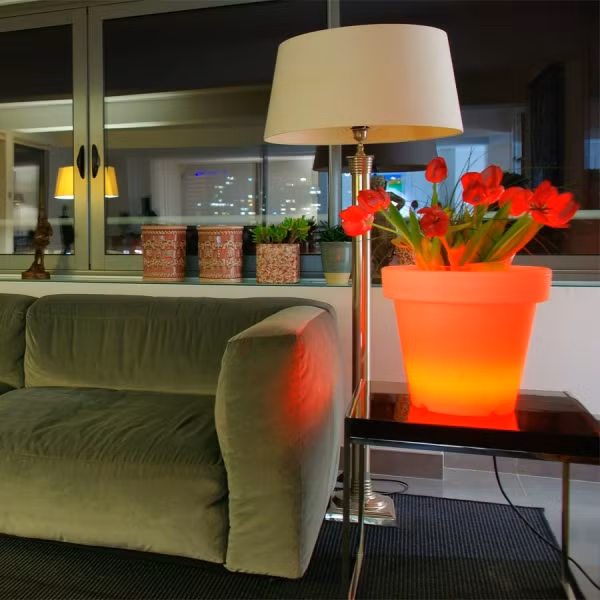 Bạn nên chọn vị trí cao để đặt chậu hoa nhằm tạo điểm nhấn cho căn phòng.