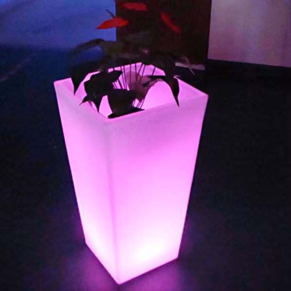 ... hoặc đặt ở nơi dễ quan sát.