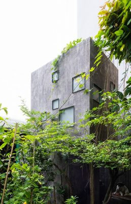 Công trình này có diện tích 36,3 m2 được thực hiện bởi Trường An Architecture, tọa lạc tại quận Phú Nhuận, TP HCM.