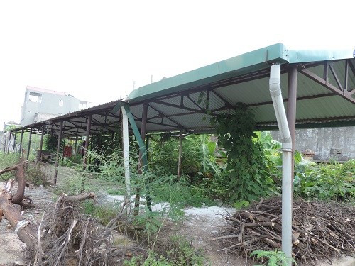 Chợ Nghĩa Hiệp (xã Nghĩa Hiệp - Yên Mỹ - Hưng Yên) được đầu tư với tổng chi phí lên đến 20 tỷ đồng nhưng sau 5 năm hoàn thành chợ vẫn bỏ hoang. Chợ được xây dựng bằng nguồn vốn cân đối ngân sách của xã do chính UBND xã này làm chủ đầu tư. Hiện nay, công trình đang xuống cấp dần, cỏ dại mọc đầy. Ảnh: Một thế giới.