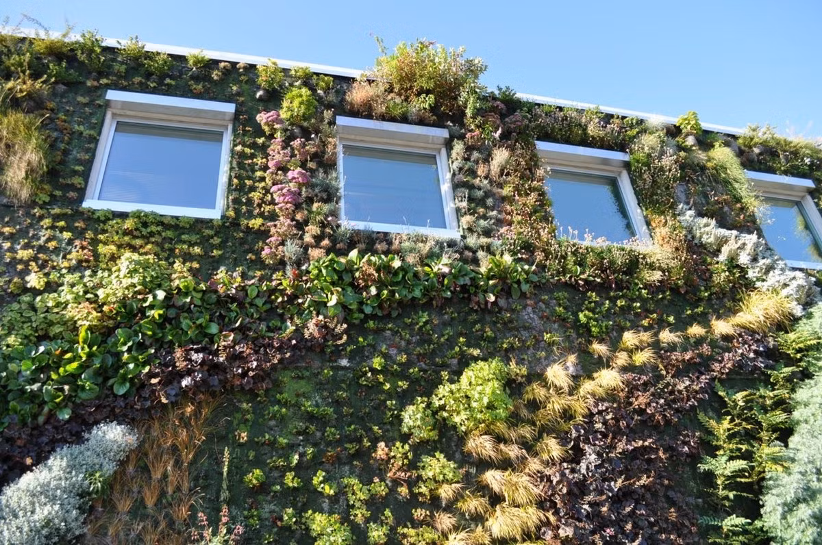 Hầu hết các loại cây ở đây đều sở hữu kích thước nhỏ bé, với màu không quá nổi trội, khác biệt mà chỉ thiên về các sắc thái xanh khác nhau. Chính sự đa dạng các loài thực vật đã tạo nên một tác phẩm tuyệt vời. Các loài cây được sắp xếp theo từng vùng với vị trí và hình dạng hài hòa, độc đáo. Ảnh: Archiii.