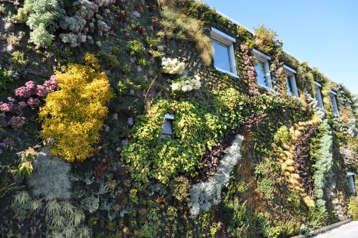 Bức tường sống này là “đô thị” xa hoa của các loài ong, bướm và chim chóc quanh khu vực. Đối với ngôi nhà, tác phẩm mặt tiền này khiến nó trở nên nổi trội và bắt mắt, không những thế còn giúp thanh lọc không khí xung quanh. Ảnh: Archiii.