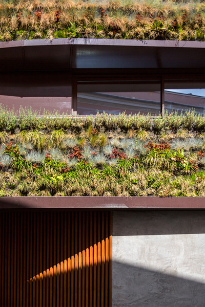 Ở phía mặt tiền, chủ nhà tạo những khoảng thoáng rộng xen kẽ với các lớp cây. Ảnh: Design Milk.