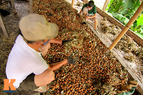 Vải thiều sấy khô là một trong những mặt hàng chủ lực phục vụ nhu cầu trong nước và xuất khẩu của người dân Lục Ngạn. Ảnh: Khám Phá.