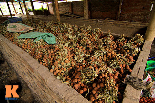 Không chỉ được biết đến với quả vải tươi, vùng đất Lục Ngạn (Bắc Giang) còn khá nổi tiếng với đặc sản vải thiều sấy khô. Ảnh: Khám Phá.