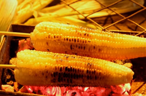 Ngoài ngô nướng, chủ nhân các gánh hàng này còn kinh doanh kèm khoai lang, mía nướng, ngô luộc... Nhờ đó giúp họ thu về khoản lãi không nhỏ. Chị Hạnh (Cầu Giấy, Hà Nội) tiết lộ, trung bình mỗi ngày chị bán được khoảng 25 bắp ngô, 2kg khoai nướng và một kg hạt dẻ, thu trên một triệu đồng/ngày. Ảnh: Vietq.