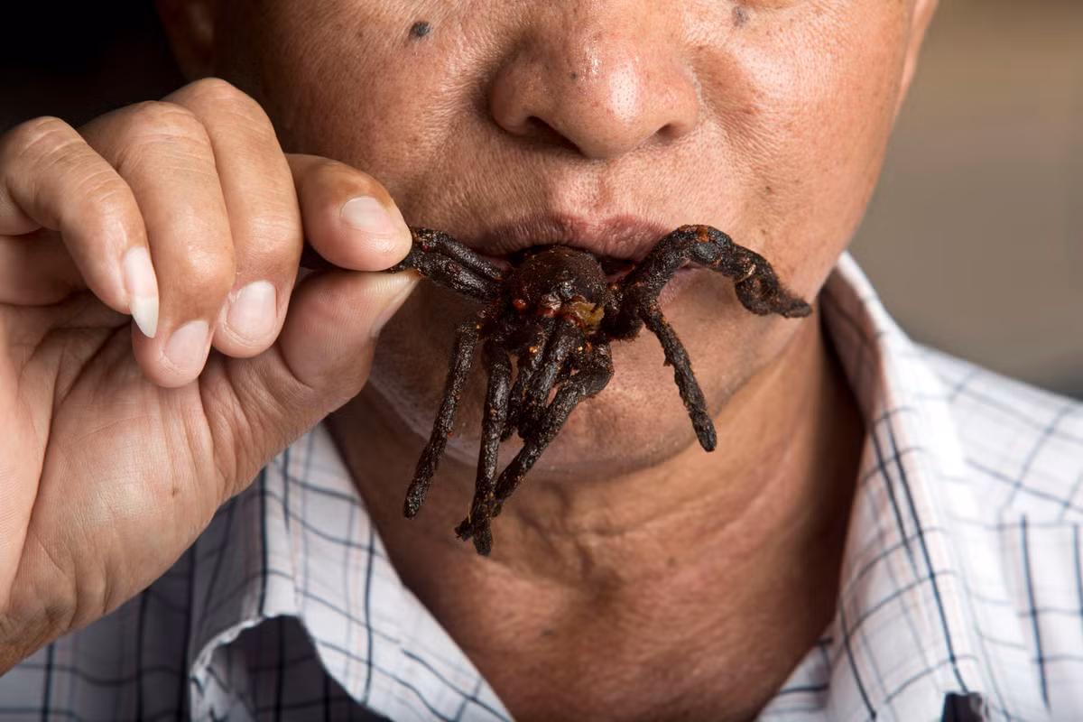 Món ăn giòn tan từ nhện vằn được thực khách thưởng thức một cách ngon lành.