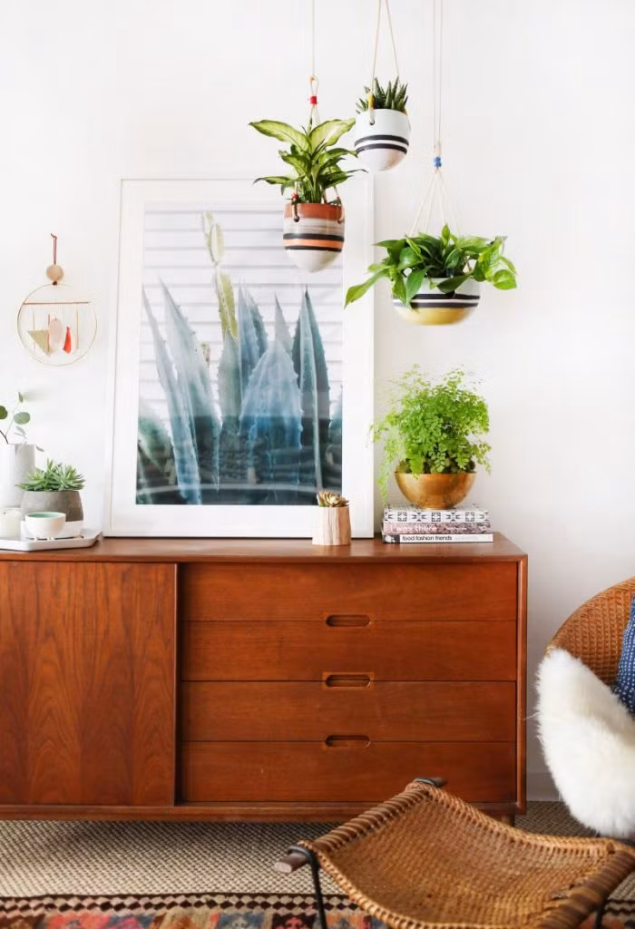 Ấn tượng hơn, bạn có thể chọn những chiếc chậu có hình dáng và màu sắc bắt mắt để trồng cây.