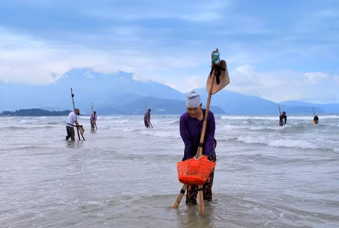 Nghề cào nghêu diễn ra vào mùa nắng, cứ vào khoảng 13 giờ. Lúc bấy giờ, nước biển rút đi, những người dân ven các bãi biển ở TP Đà Nẵng rủ nhau đi cào nghêu. Ảnh: Báo Tin Tức.