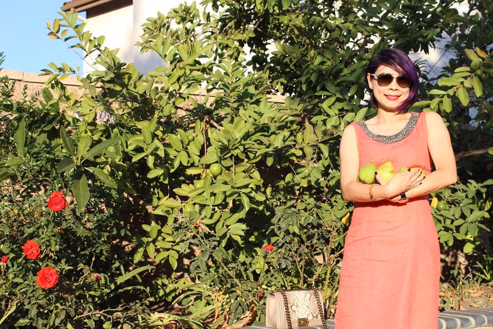 Có lần, ca sĩ Thanh Thảo đã ghé thăm vườn nhà Thu Phương để hái ổi. Ảnh: Phunutoday.