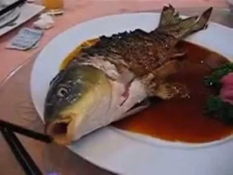 Con cá tươi sống được chiên dầu phần thân. Tuy nhiên, đầu cá lại bọc trong miếng vải ướt để giữ cho nó được thở. Ảnh: Youtube.