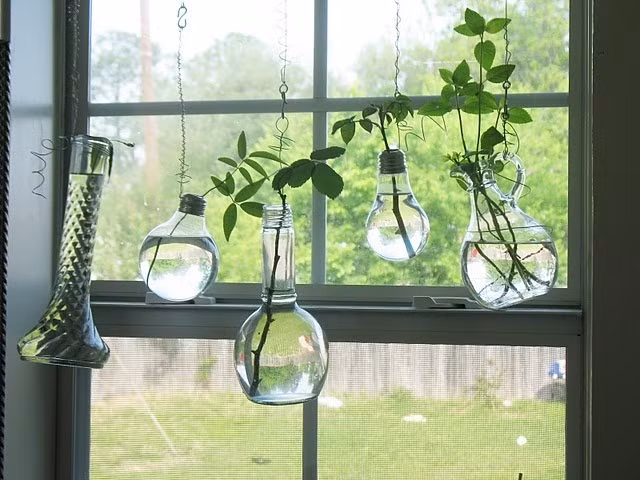 Một kiểu vườn treo thủy sinh độc đáo.