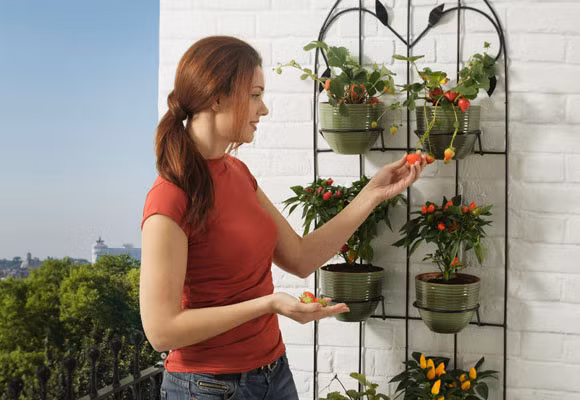 Thiết kế khu vườn treo độc đáo là một giải pháp rất hữu ích, đáp ứng được nhiều nhu cầu về trang trí và làm xanh môi trường sống. Ảnh: Internet.