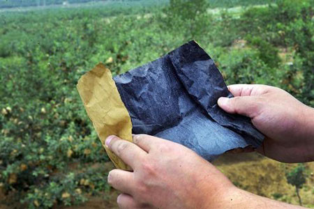 Những túi thuốc sâu bọc táo được sản xuất trong những xưởng nhỏ, bí mật. “Vật liệu” của túi gồm thuốc trừ sâu và nước.