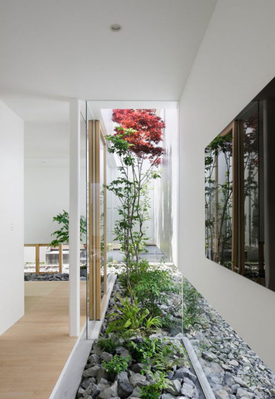 Với khu vực ngoài trời, bạn có thể lựa chọn những giống cây ưa ánh sáng.