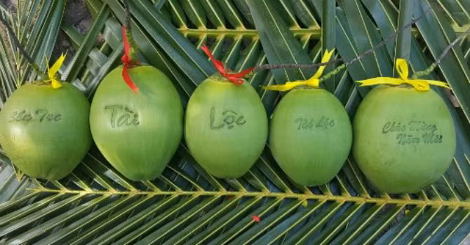 Dừa in chữ chìm nghệ thuật: Người thanh niên sáng tạo nên trái dừa in chữ chìm nghệ thuật này là Huỳnh Thanh Tâm, một chàng trai 30 tuổi ở ấp Phú Nhơn, thị trấn Châu Thành, huyện Châu Thành, tỉnh Bến Tre. Ảnh: Internet.