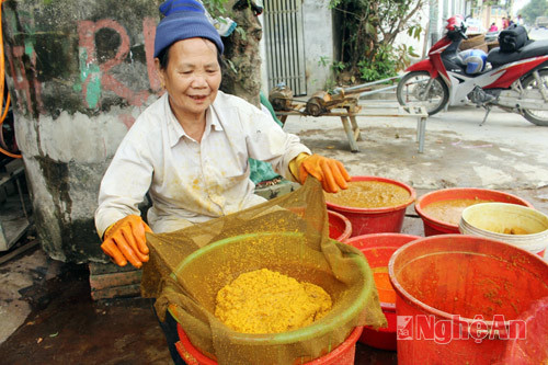Nghề làm tinh bột nghệ bắt đầu từ tháng 12 dương lịch sang hết tháng 3 hàng năm. Đây là công việc gồm khá nhiều công đoạn, tốn thời gian nhưng đem lại thu nhập khá cao cho người dân. Ảnh: Báo Nghệ An.